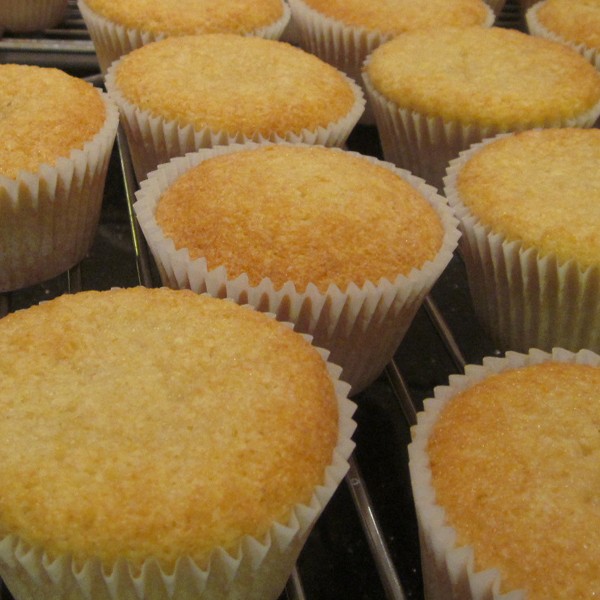 Plain Vanilla Sponge Cupcakes | Neo Cakes